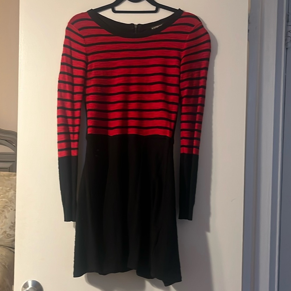 Express Zippered Sweater Knit Long Sleeve Dress